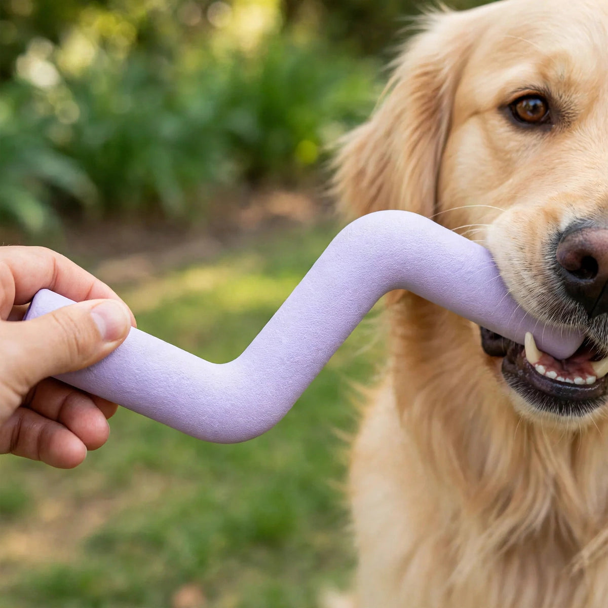 Hand holding a lavender lightning Z-shaped natural rubber toy while a dog chews it