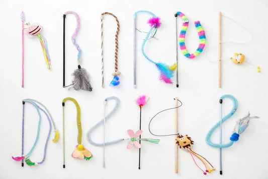 Cat teaser wand toy set arranged on white background