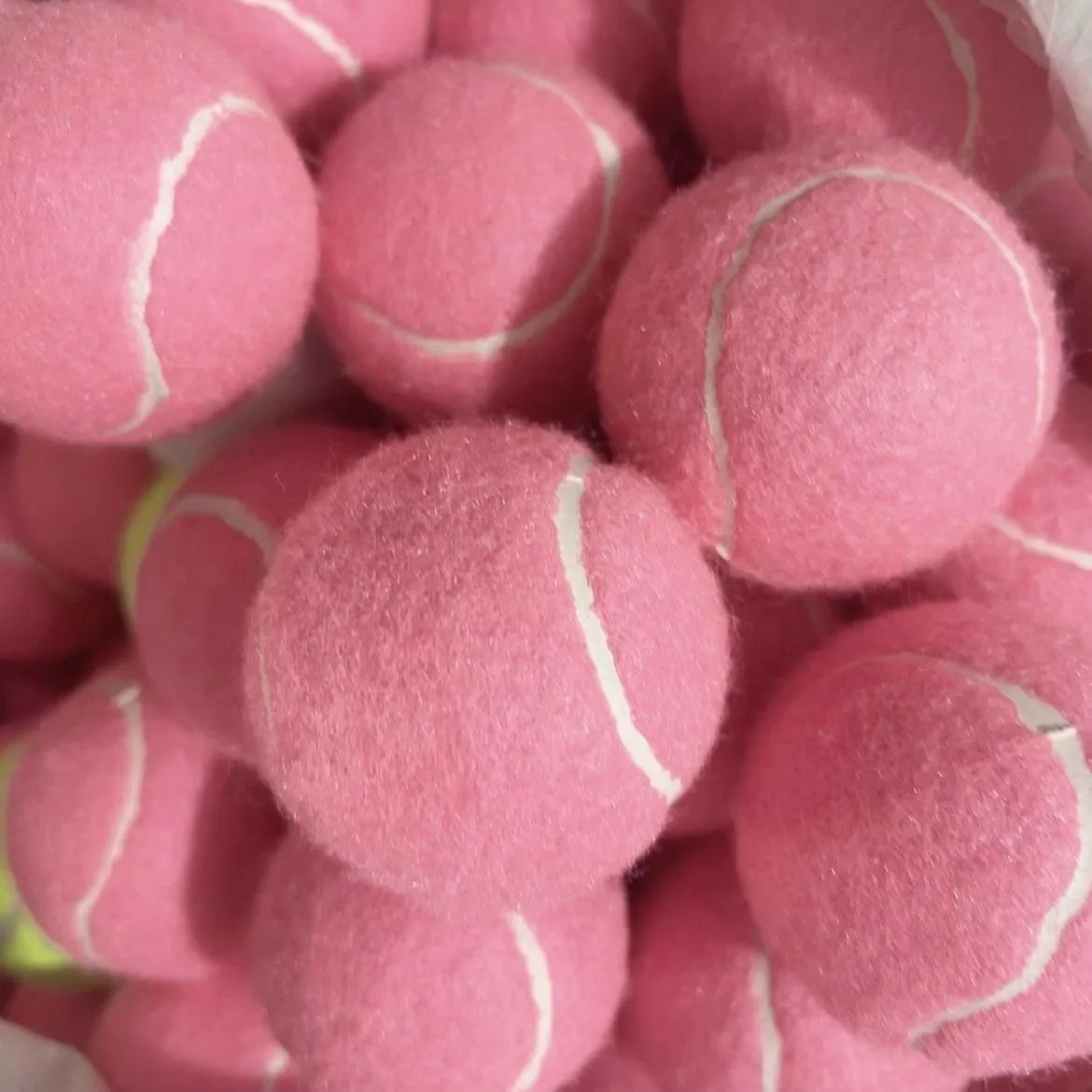 Colorful Squeaky Tennis Balls for Dogs