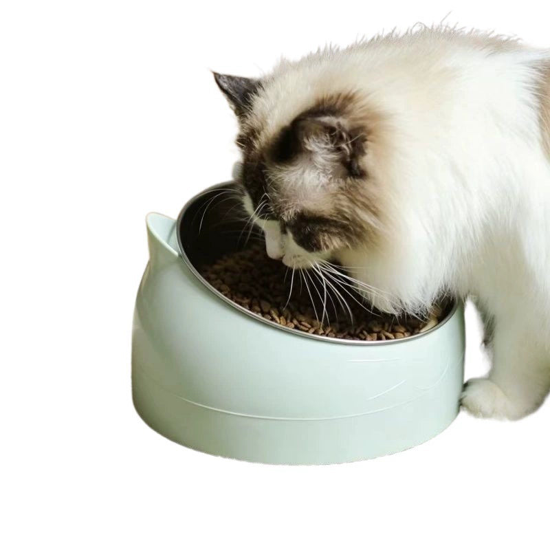 Cat eating from a mint slanted stainless steel cat bowl