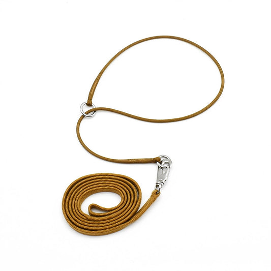 Khaki P-collar and leash set for dogs