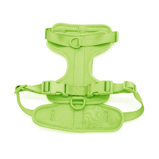 Green PVC dog harness, front view