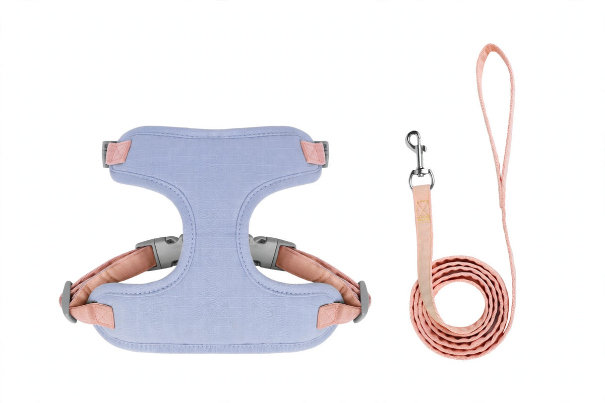 Light blue cat harness with pink straps and pink leash on white background