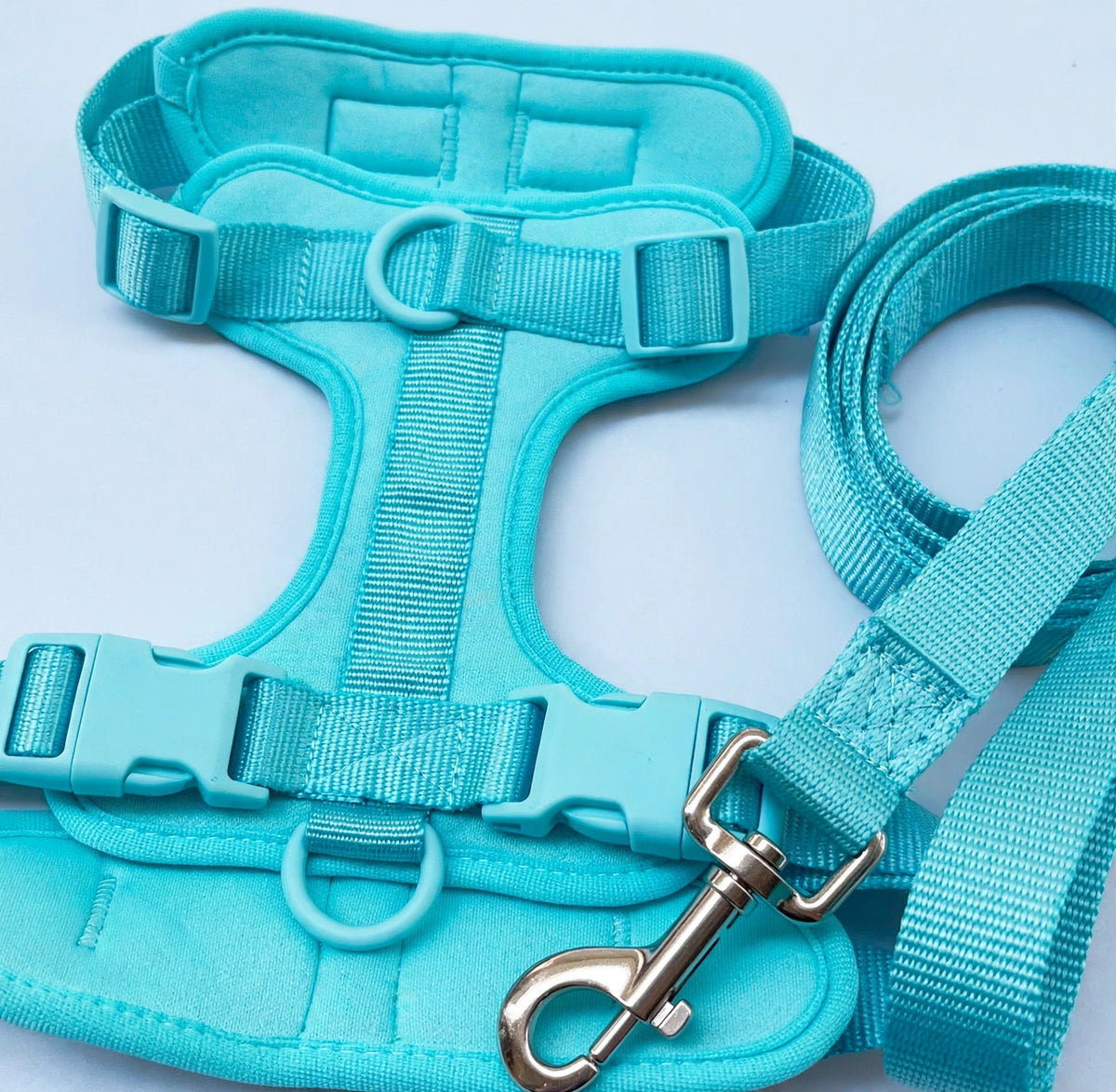 Close-up of teal PVC harness buckles and leash clip