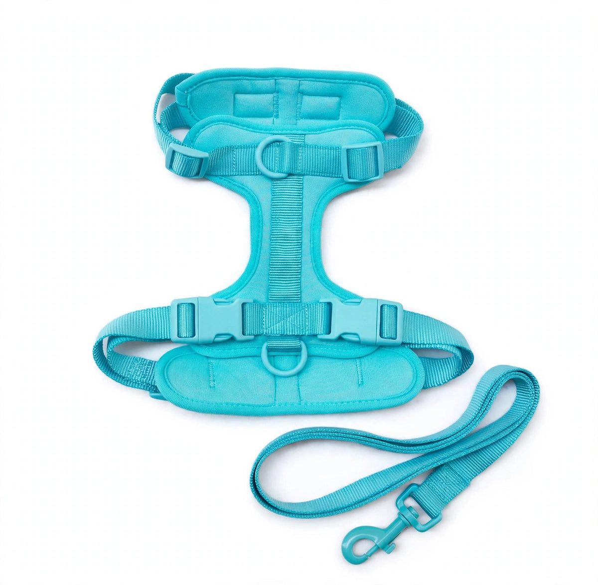 Teal PVC dog harness and flat strap leash set on white background