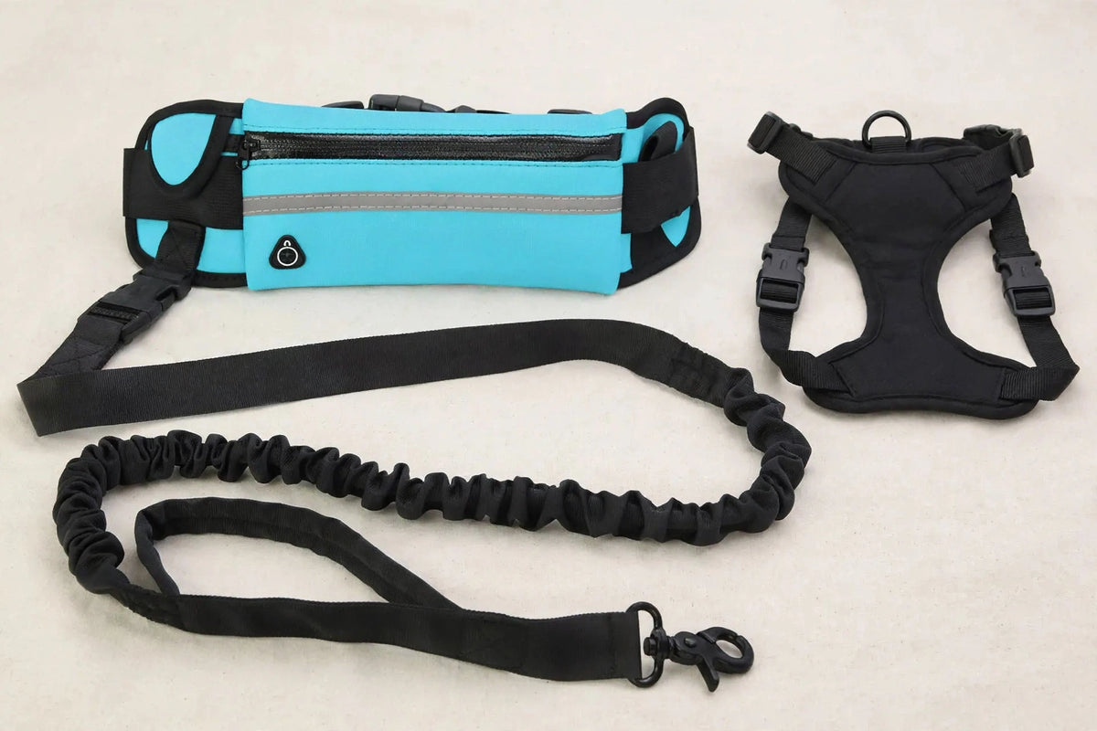 Hands-free waist pack, bungee leash and harness set laid out flat