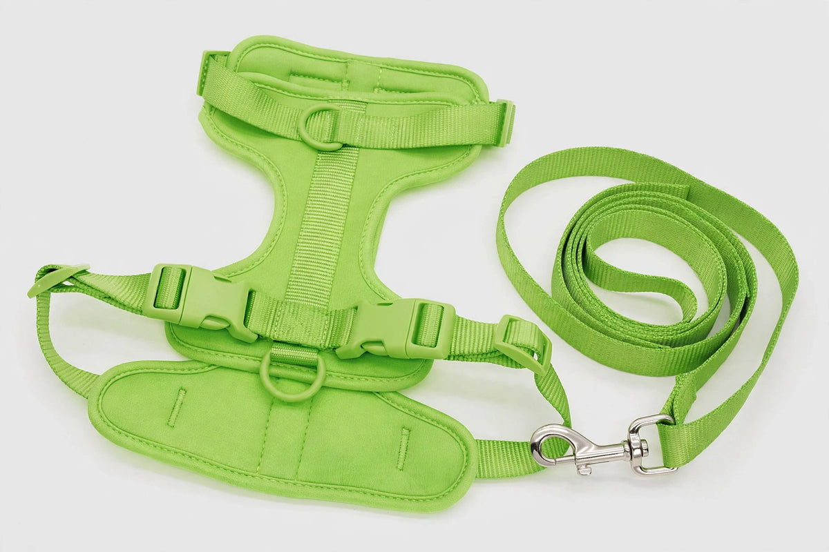 Close-up of green PVC harness buckles and leash clip