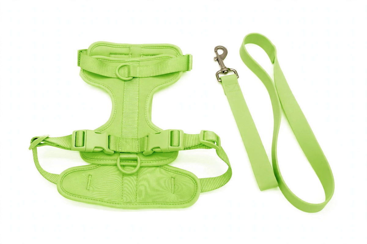 Green PVC dog harness and lightweight flat strap leash set on white background